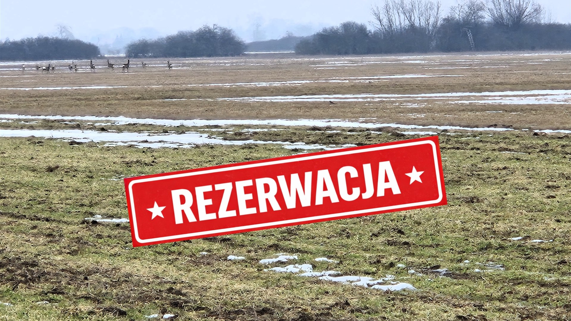 Działka na sprzedaż