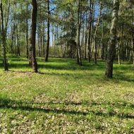 Działka na sprzedaż