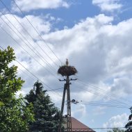 Dom na sprzedaż